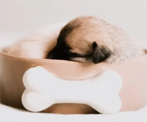 床